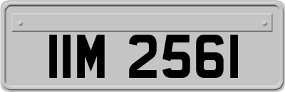 IIM2561