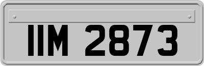 IIM2873