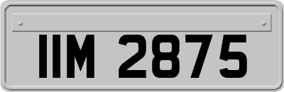 IIM2875