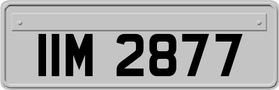 IIM2877