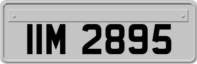 IIM2895