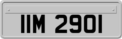 IIM2901