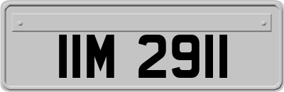 IIM2911