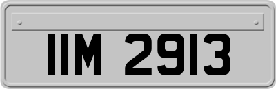 IIM2913