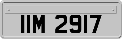 IIM2917