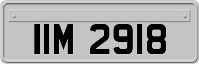 IIM2918