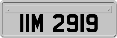 IIM2919