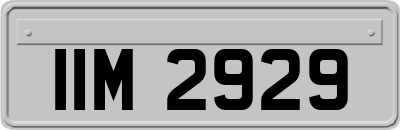 IIM2929