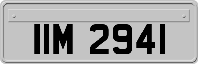 IIM2941