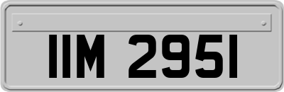 IIM2951