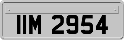 IIM2954