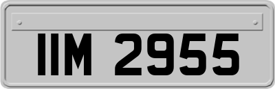 IIM2955