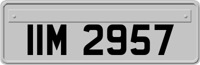 IIM2957