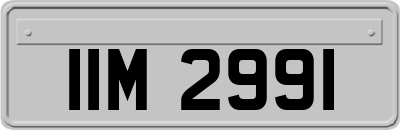 IIM2991