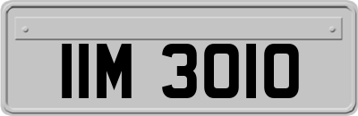 IIM3010
