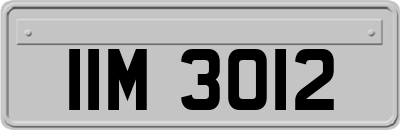 IIM3012