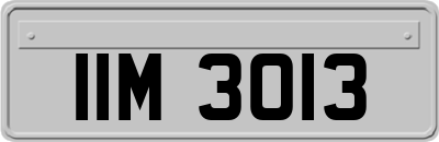IIM3013