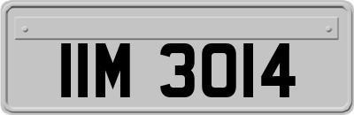 IIM3014