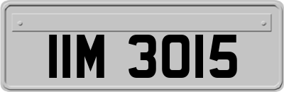 IIM3015