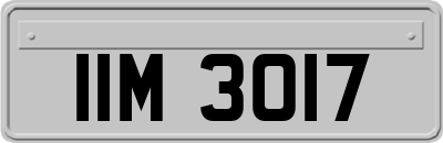 IIM3017