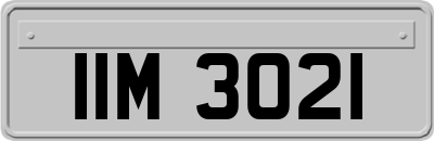 IIM3021