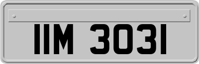 IIM3031