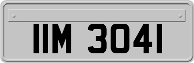 IIM3041