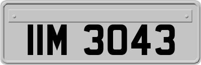 IIM3043