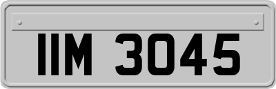 IIM3045
