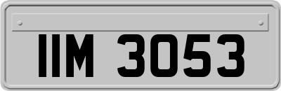 IIM3053