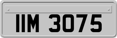 IIM3075