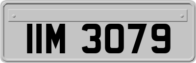 IIM3079
