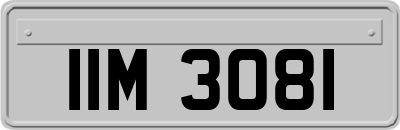 IIM3081
