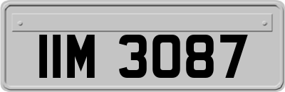 IIM3087