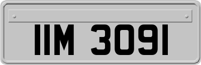 IIM3091
