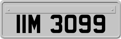 IIM3099