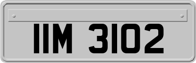 IIM3102