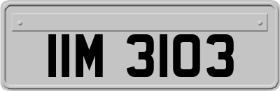 IIM3103