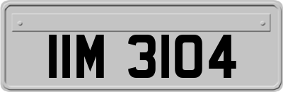 IIM3104