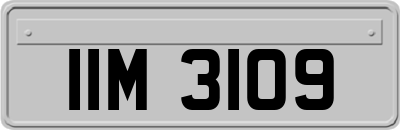 IIM3109