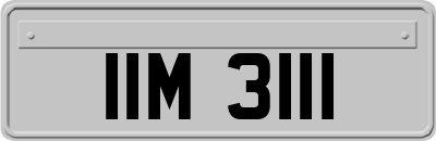 IIM3111