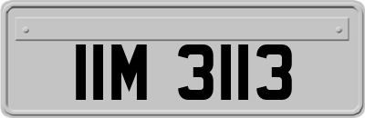 IIM3113