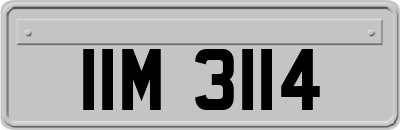 IIM3114