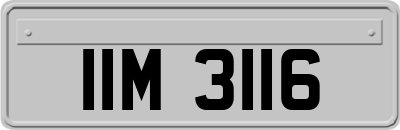 IIM3116