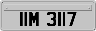 IIM3117