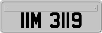 IIM3119