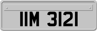 IIM3121