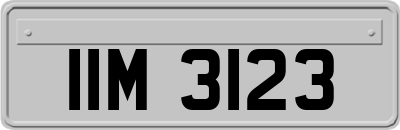 IIM3123