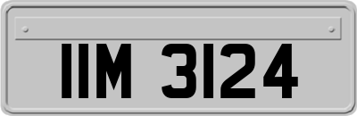 IIM3124