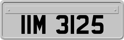 IIM3125